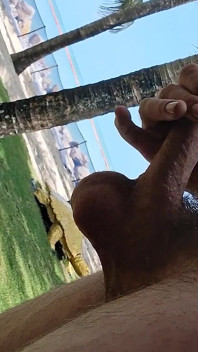Public Beach Cock Flash