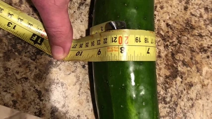 VeeVee Vixen: 10 Inch Cucumber Inserted