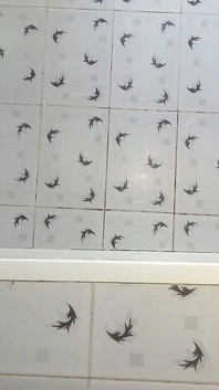 Moje dziwki są napalone i brakuje mojego kutasa