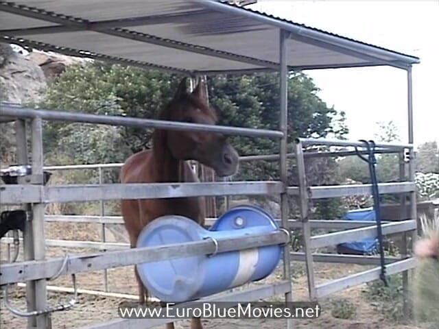Euro Blue Movies: 패니 팜 (1996)