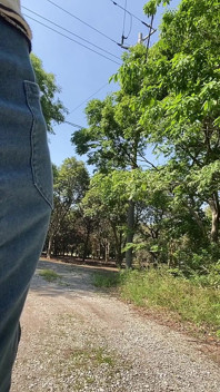 No. 218 My Daily Routine a Walk with My Vaginal Vibrator