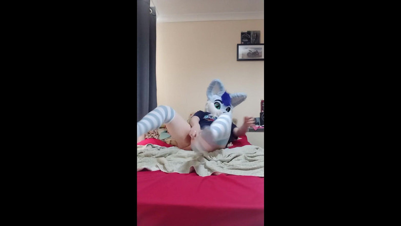 BlueHuskyuwu: Femboy furry pup leker med sin stora leksak