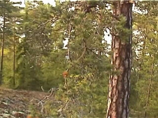 Radical: Teenagers outdoors fucking hard