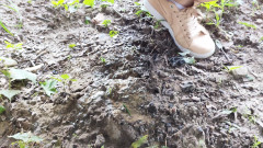 Adele Amber: Mưa trong tự nhiên