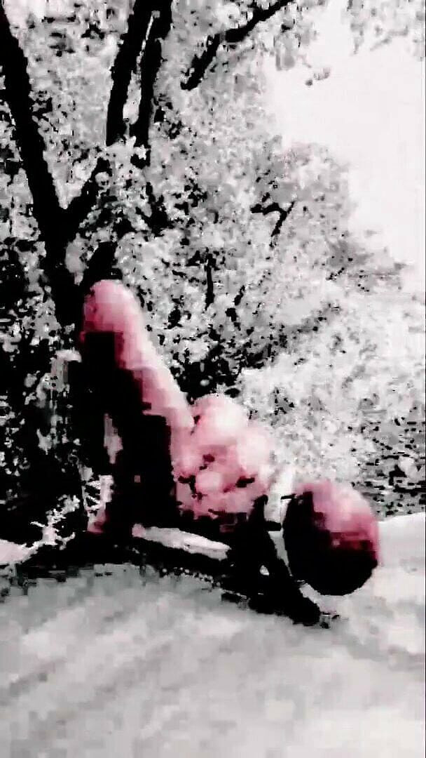 Slutboyben: Slutboyben cam4 - kontol kelainan seks dientot habis-habisan