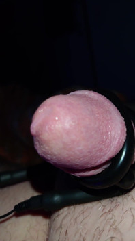 E-stimulation with Precum and Small Cock