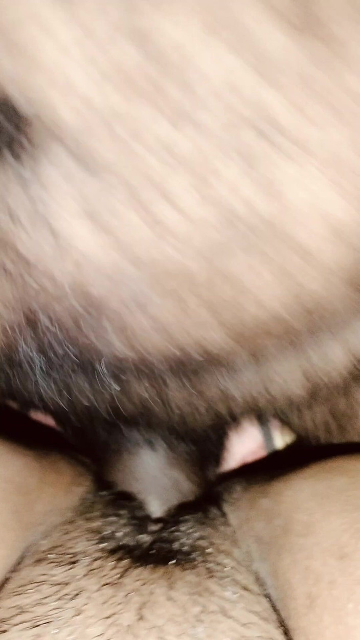 TeluguCouple901: Moje žena pussy zblízka šukání