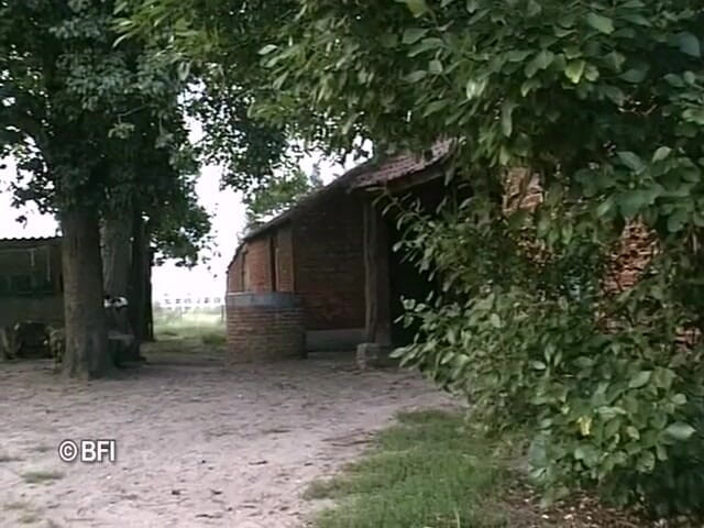 Naughty by nature in Holland: DVD Xkiss - Polder sex