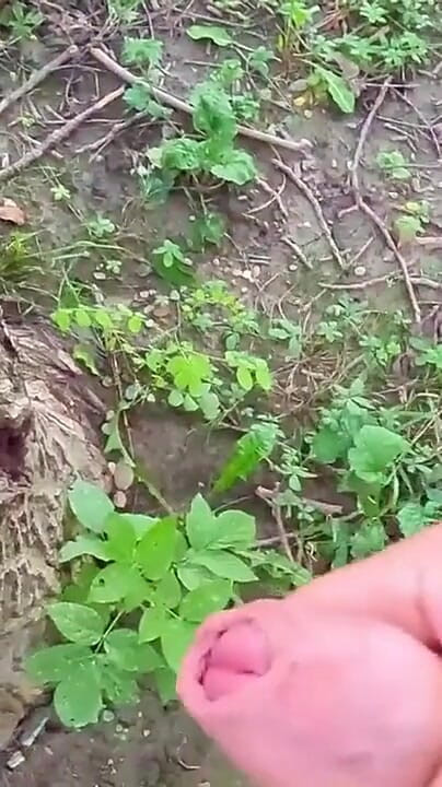 radiopornopanda: Ho fatto una videochiamata speciale cose molto segrete nella foresta