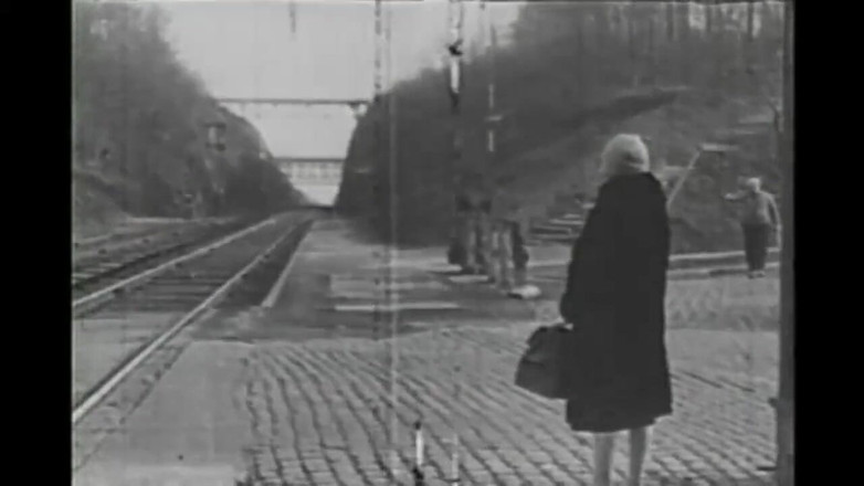 Vintage megastore: Vintage regisseur neukt alleen harige kutjes (volledige film)