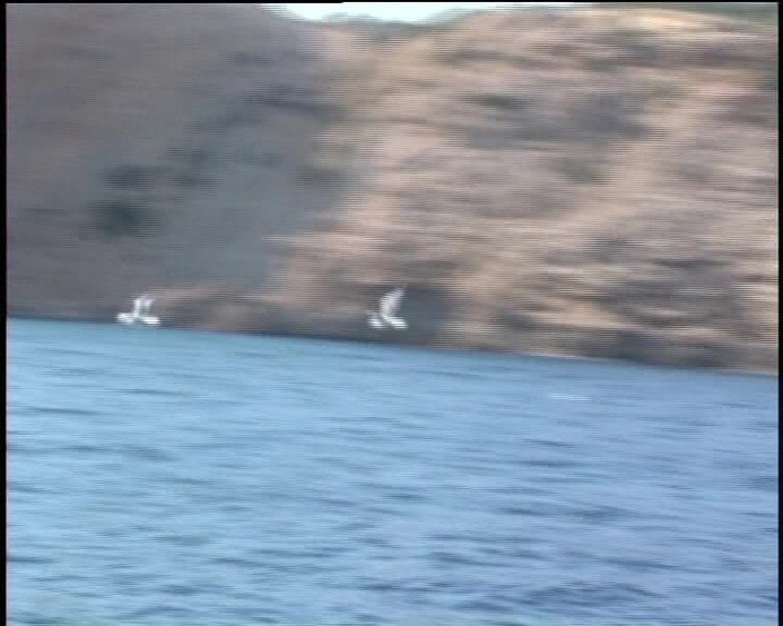 Under German Roofs: Alman fahişeler büyük bir yarağı amlarına sokmayı seviyor #12