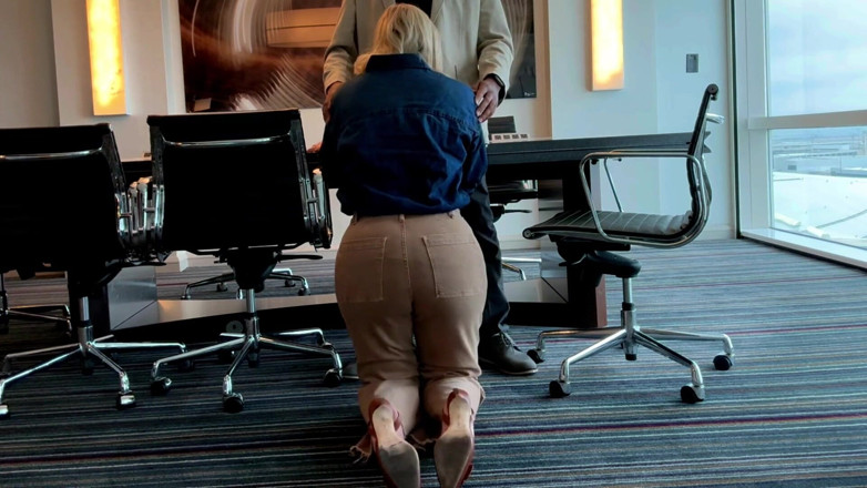 Flight Attendant Fiona: Fa Fiona Meets Passenger in His Boardroom