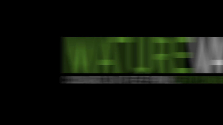 MatureVan: Maturevan pertama kali dientot sama maturevan