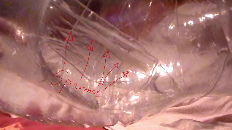 Mark Hannes: Clear Doll Creampie Fuck Masturbation