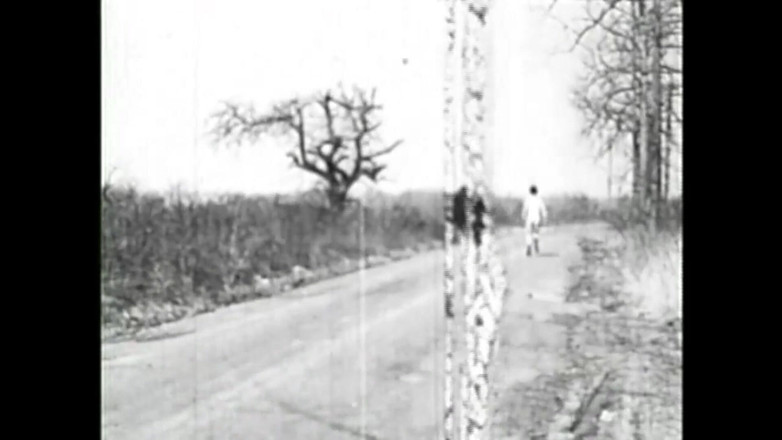 The Unforgettable: Prase Gozona odsává mléko