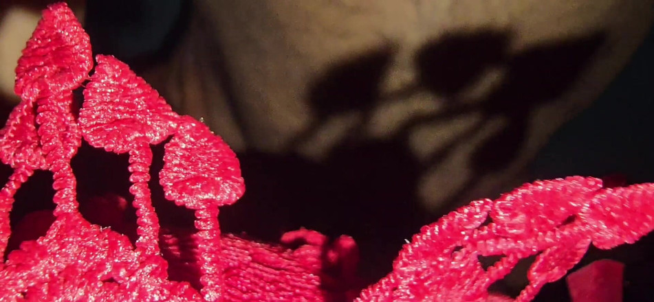 SafeRosebush8: Sgrillettamento nella mia ragazza Vegina e un sacco di figa è...