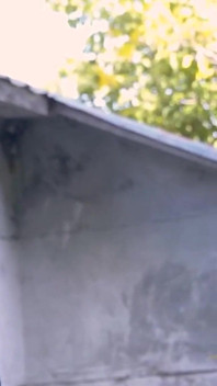 Cei mai buni bărbați în natură