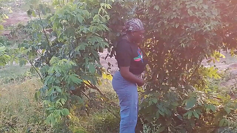 Creamyshuga: Від erent до гарячого траху всередині куща