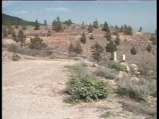 Out Sexxx: Секс на дорозі для зрілих повій, які смокчуть член деяким водіям