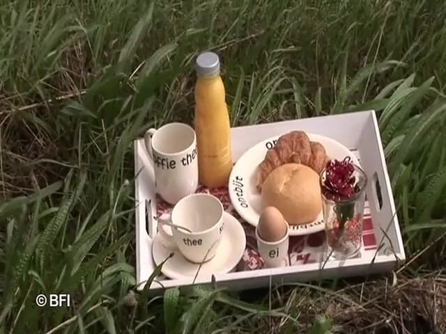 Dutch Desire Nights: नीदरलैंड के शौकिया
