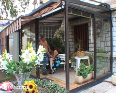 Rue Chaude: Uma morena muito ninfomaníaca faz um rosto debaixo da ejaculação!