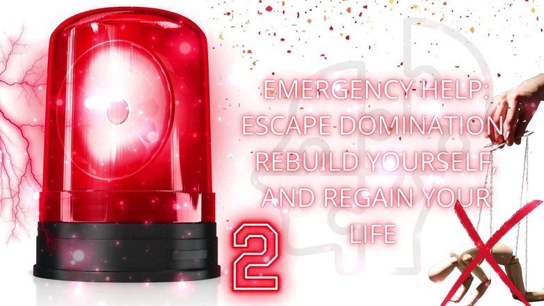 Goddess Misha Goldy: Nouzová pomoc: unikněte dominanci, znovu se obnovte a znovuzískání svého života 2