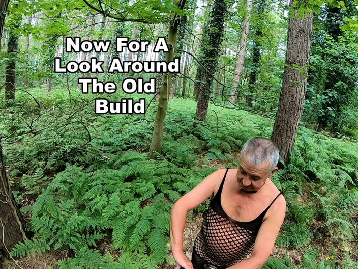 Andy: Прогулка 31 2025