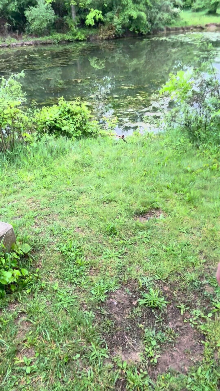 Barenakedmuscles: Nackte asiatische muskelgöttin geht den park nackt - biegt sich hart...