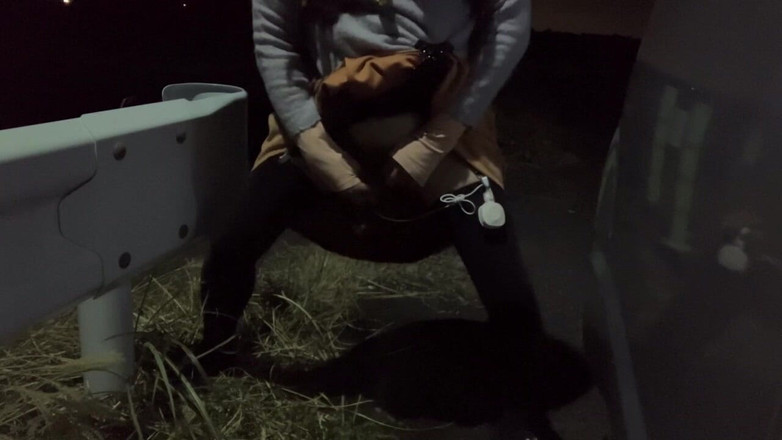 megu2002: 独立训练No32夜间散步中的狗式