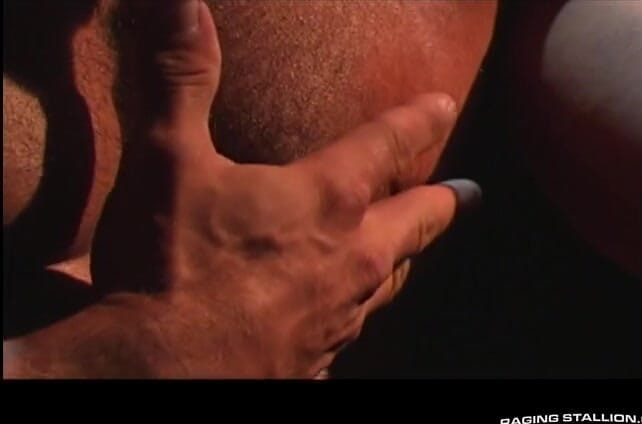 Raging Stallion: The Dirty Director