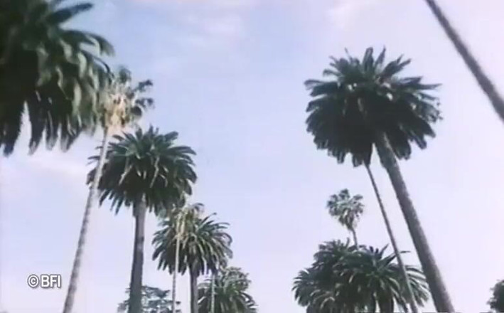 Vintage Vixens: Beverly hills, retro-sexvideo - holländische untertitel