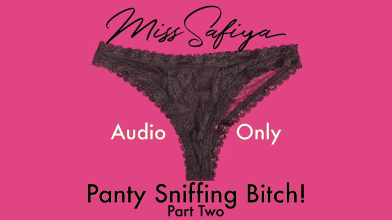Miss-Safiya: SOLO AUDIO - cagna che annusa le mutandine pt 2