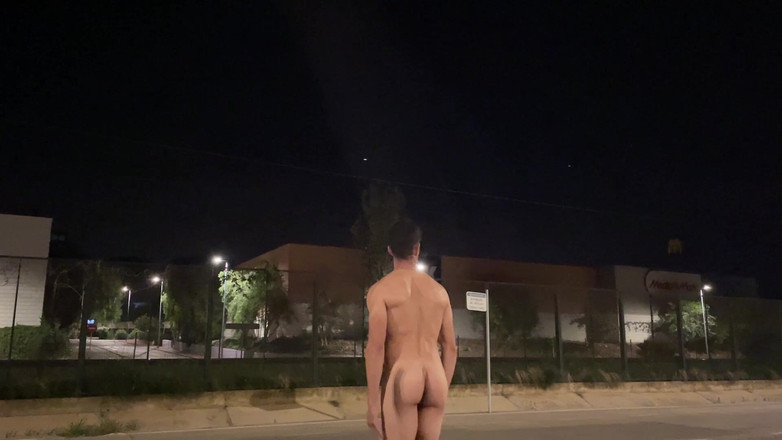 Paul Williams: 晚上赤身裸体地穿过社区