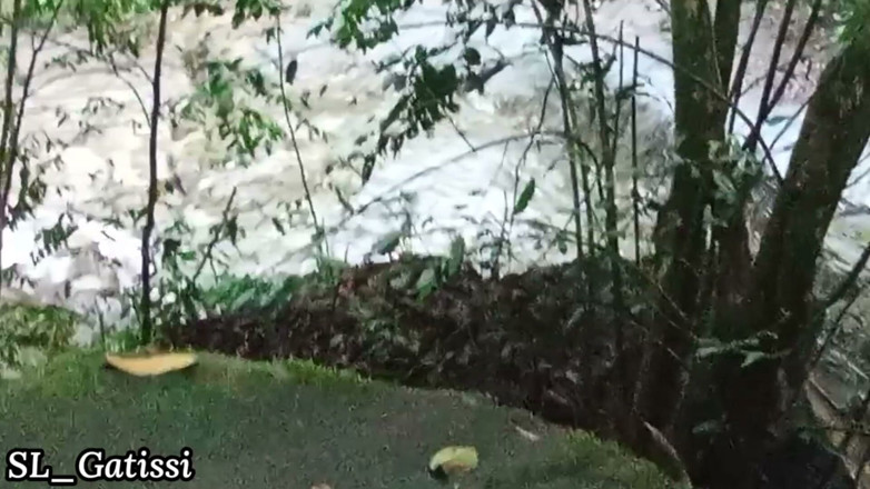SL Gatissi studio: Beautiful Sri Lankan Teen Fucked in the Jungle