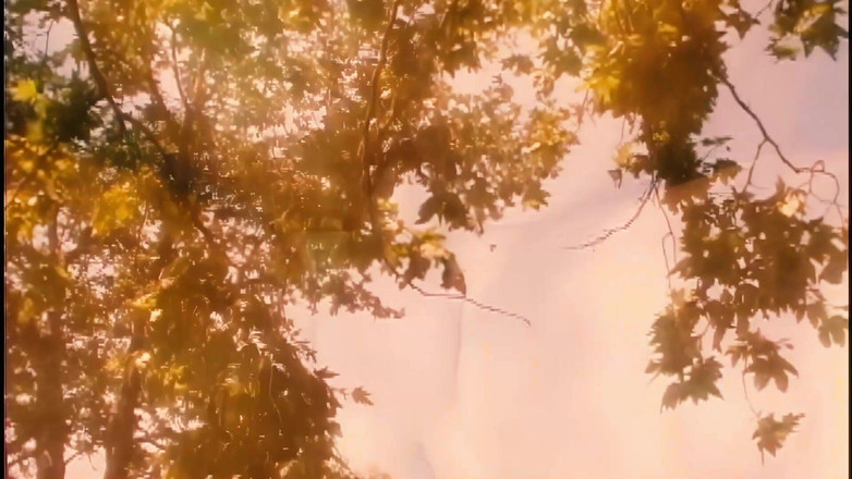 BestPorn85: Roxy Jezel wordt gepompt tijdens een picknick als hij xxx...