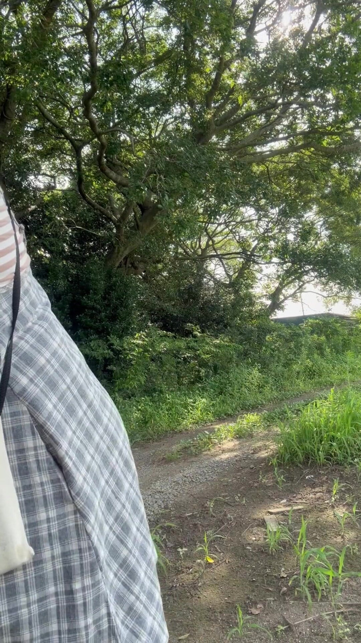 megu2002: No290 si hraje s análními kolíky na ulici během dne