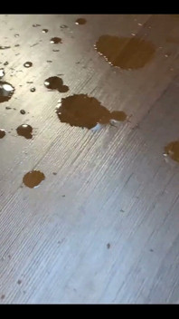 Show Us Your Cumshot on Floor