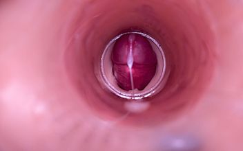 Female Insemination – Internal Camera Captures Deep Male Ejaculation