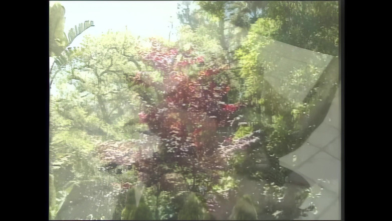 The Unforgettable: 관능적인 에로틱 판타지