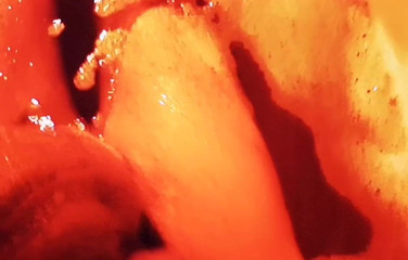 Monster_Meat_: Fai un bagno con me e insaponami dentro...