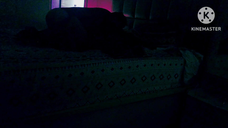 Ankita10000: Líbánkové noci s přáteli Manželka v hotelu Taaj v Bombaji