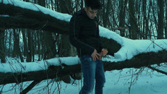 Idmir Sugary: Winter Honění na stromě