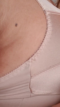 Nude Nylon Vintage Body Bra
