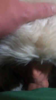 Scopata in faccia con in pelliccia bianca e stivali ugg 208