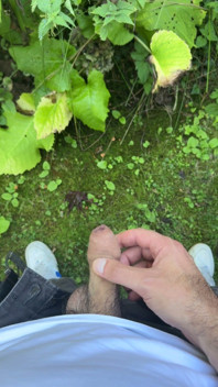 Golden Stream: Peeing in Paradise