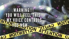 The Nlp Toolbox: Warning!!! You Will Feel This - My Voice Controls You Now