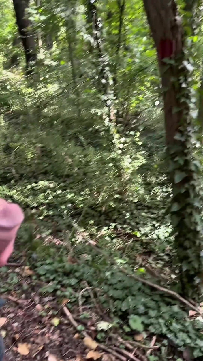 mekcho92000: Jalan-jalan di Hutan