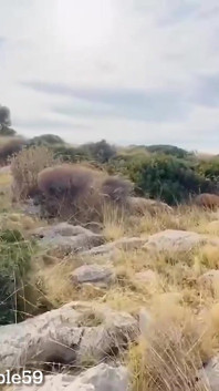 Walk and Fuck in Greece by the Seaside in Greece and Fucking Outside
