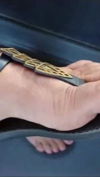 Transport 14