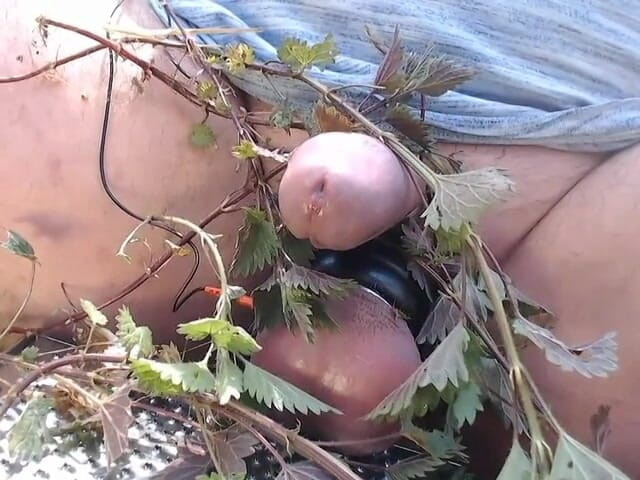 Gaylectrician: イラクサで楽しむ